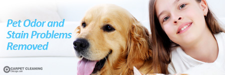 pet odor and stain removal