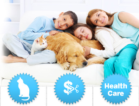 carpet steam cleaning in Chicago,IL