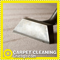 carpet steam cleaning